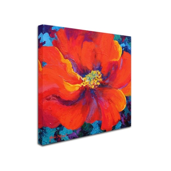 Marion Rose 'Passion Poppy' Canvas Art,14x14